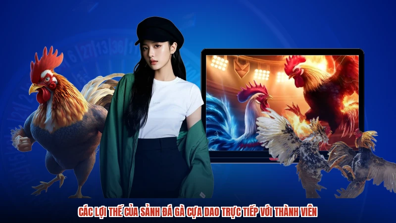 Các lợi thế của sảnh Đá gà cựa dao trực tiếp với thành viên