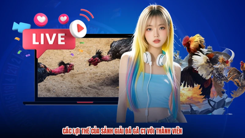 Các lợi thế của sảnh Giải đá gà C1 với thành viên