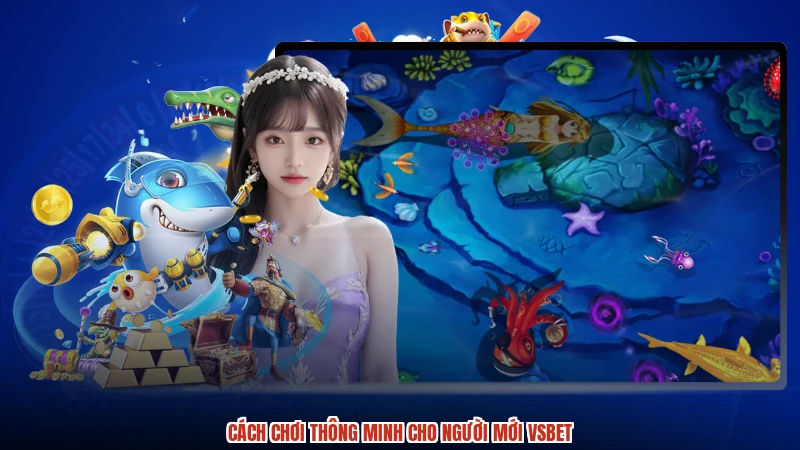 Cách chơi thông minh cho người mới VSBET