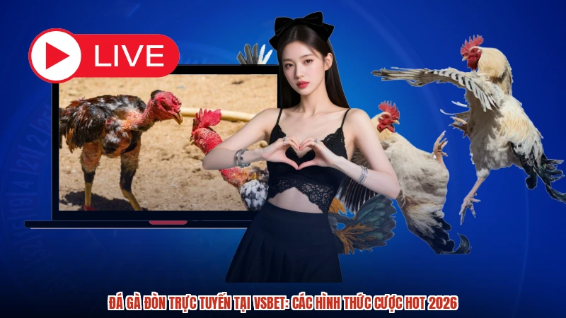 Đá Gà Đòn Trực Tuyến Tại VSBET: Các Hình Thức Cược Hot 2026