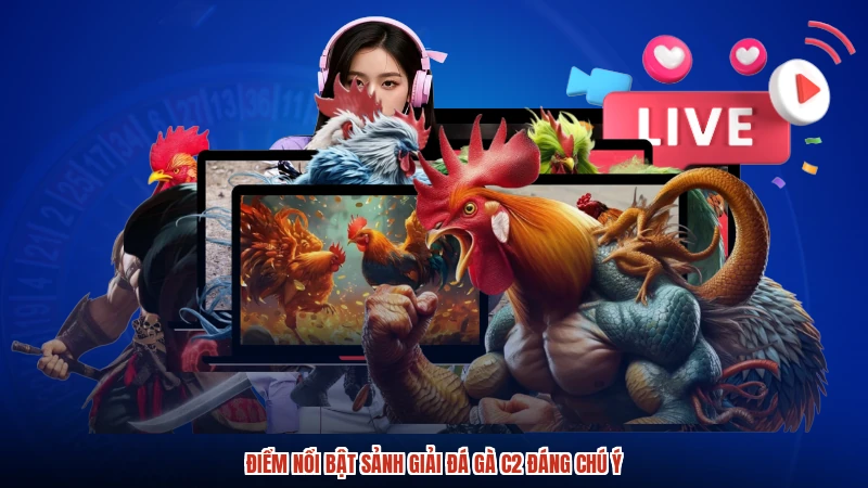 Điểm nổi bật sảnh Giải đá gà C2 đáng chú ý