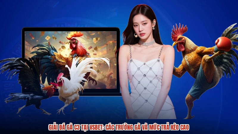 Giải đá gà C3 tại VSBET: Các trường gà và mức trả kèo cao