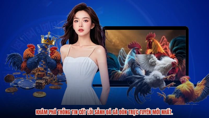 Khám phá thông tin cốt lõi sảnh đá gà đòn trực tuyến mới nhất.