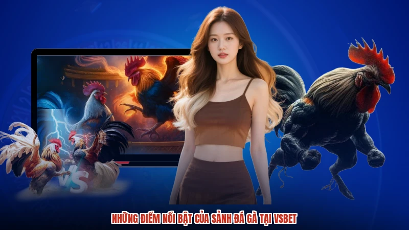 Những điểm nổi bật của sảnh đá gà tại VSBET