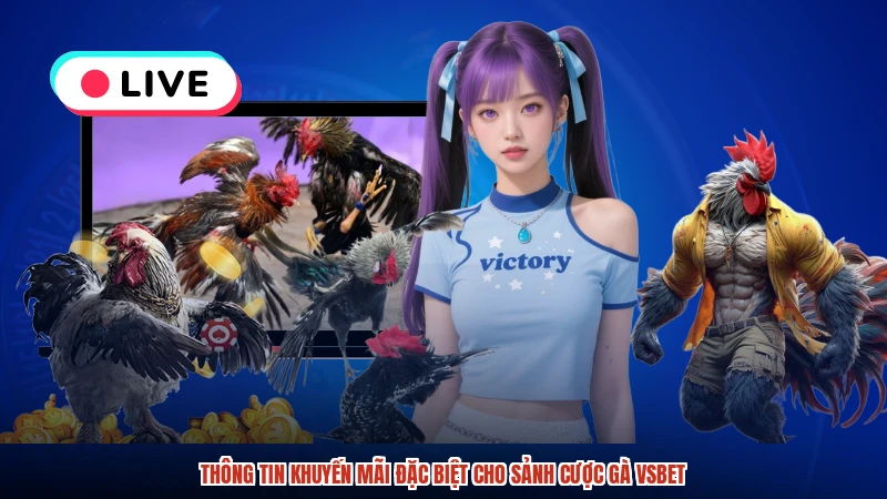 Thông tin khuyến mãi đặc biệt cho sảnh cược gà VSBET
