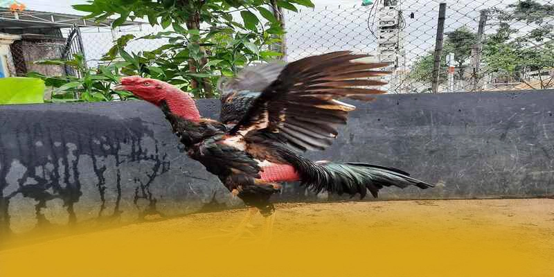 Chương trình thưởng khủng dành cho cộng đồng tại 8xbet Chương trình thưởng khủng dành cho cộng đồng tại 8xbet