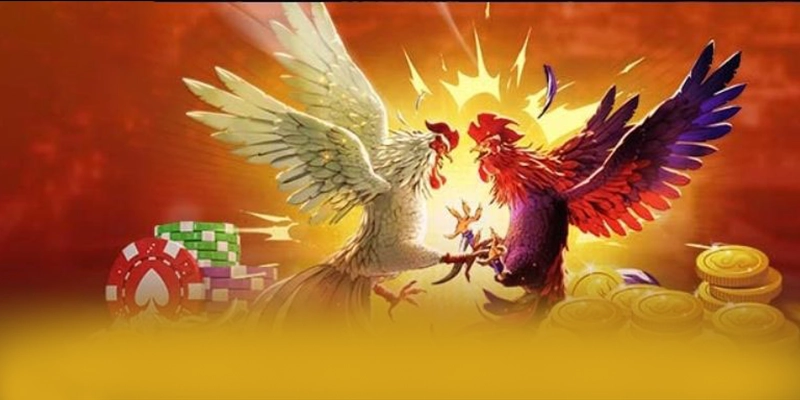 8XBET - Nhà cái cung cấp hàng trăm tựa game đẳng cấp 2026