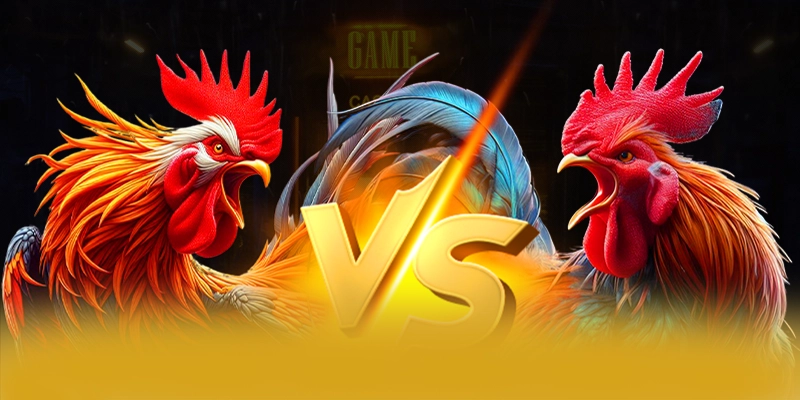 Hệ thống tư vấn viên tại SUNWIN